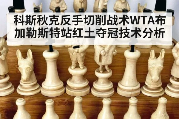 科斯秋克反手切削战术WTA布加勒斯特站红土夺冠技术分析